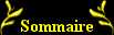 Sommaire